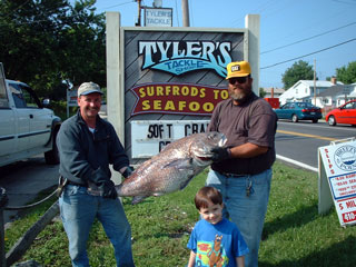 TT060201b.jpg (31392 bytes)